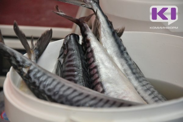 35 килограммов рыбной продукции изъял Роспотребнадзор Коми за первые шесть месяцев этого года