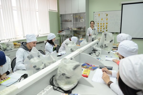 Какими достижениями за 2019 год гордится Сыктывкарский государственный университет