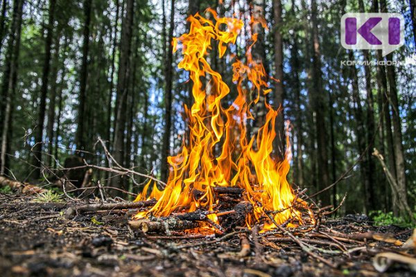 В Прилузье и Койгородском районе сохраняется высокая пожароопасность 
