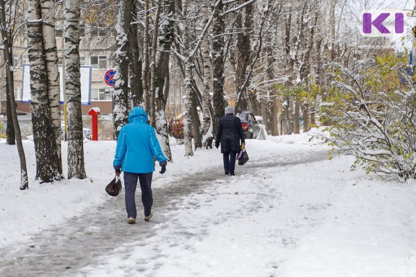 Прогноз погоды на 21 декабря: в Сыктывкаре потеплеет до ноля