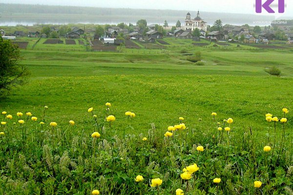 В Койгородском районе объединят два сельских поселения