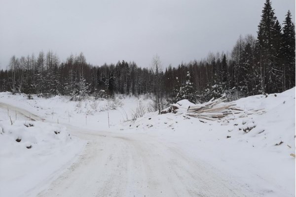 Подрядчик нарушил природоохранное законодательство при оборудовании переправы в Сосногорске 