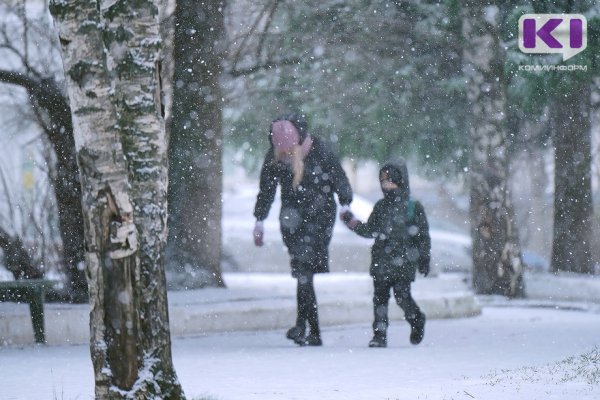 Погода в Коми на 17 декабря: небольшой снег и -10°С