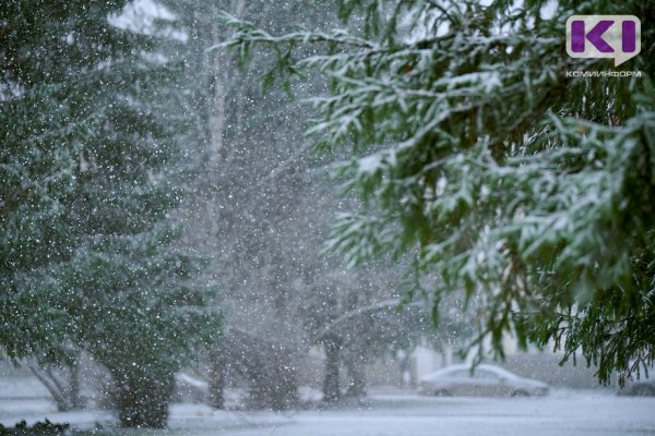 Погода в Коми на 26 декабря: небольшой снег и -6°С