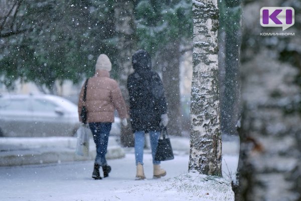 Погода в Коми на 3 февраля: небольшой снег и южный ветер