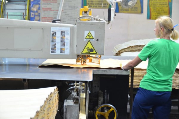 Работа фанерного производства на Жешартском ЛПК полностью восстановлена

