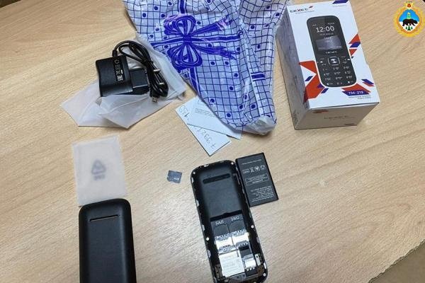 В Синдоре сотрудники ИК-42 пресекли попытку доставки осужденному телефона