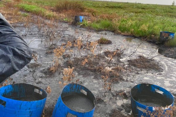 Следователи усмотрели признаки преступления в разливе нефти на Колве 