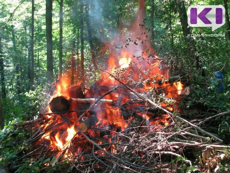 В Койгородском районе продолжает действовать лесной пожар