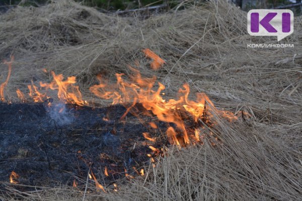В Коми вспыхнуло четыре новых лесных пожара