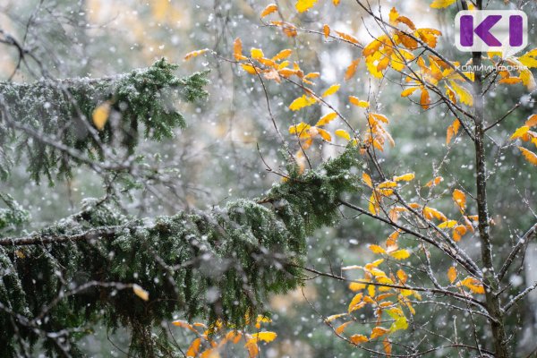 Погода в Коми 12 октября: мокрый снег и ветер