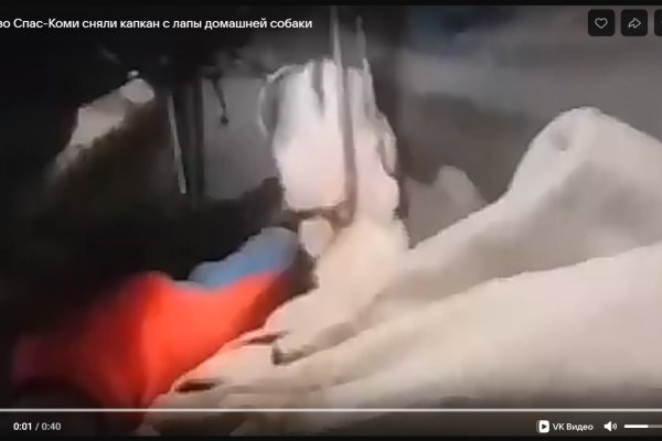 Собака-хулиган попала в капкан на дачах в Морово 