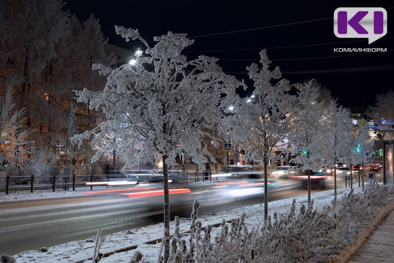 Погода в Коми 14 января: небольшой снег, на юге -14°С, на севере до -30°С