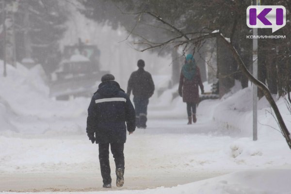 Погода в Коми 16 января: низовая метель, -7...-9°С