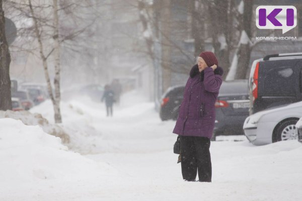 Погода в Коми 24 января: ветрено и -7°С