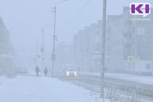 Погода в Коми 20 февраля: порывистый ветер, метель, -3...-8°С