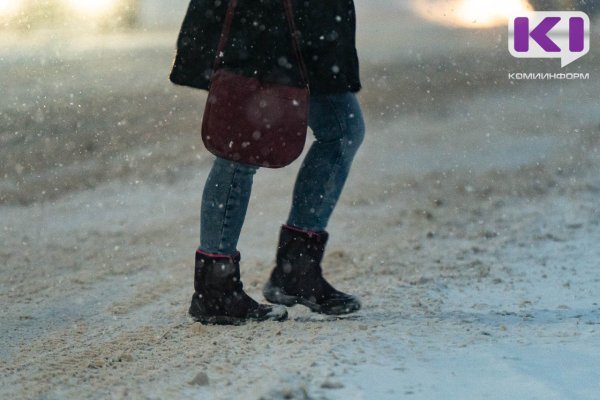 На западе Коми ожидается сильный снегопад
