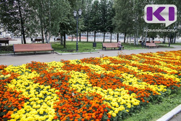 Летом на цветниках и клумбах высадят 167,3 тыс. однолетних и многолетних цветов
