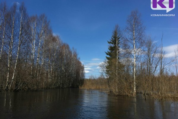 На реке Вычегда у Сыктывкара сформировался максимальный уровень весеннего половодья