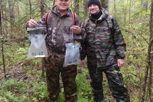В лесах Коми в начале июня вывесят шесть феромонных ловушек для сибирского шелкопряда
