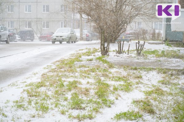 Погода в Коми 10 мая: мокрый снег, +2...+4С
